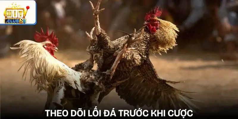 cach nhan biet ga keo tren keo duoi quan sat loi da cua chien ke cach nhan biet ga keo tren keo duoi quan sat loi da cua chien ke