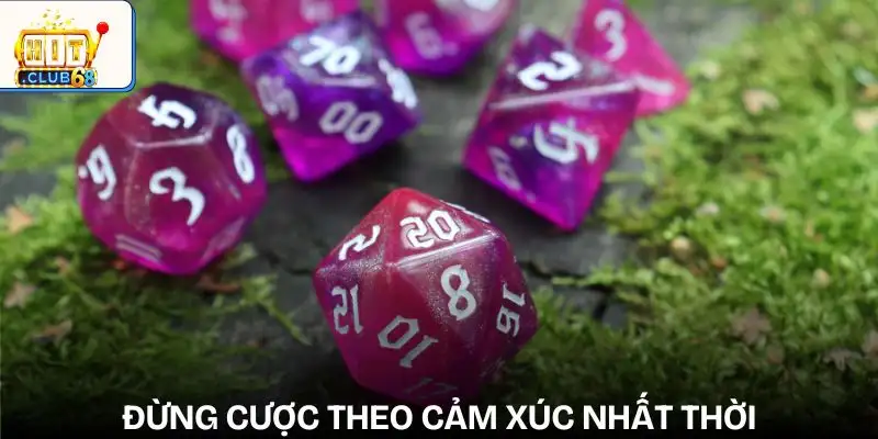 nhung sai lam pho bien khi choi xoc dia dat cuoc theo cam xuc thay vi chien luoc nhung sai lam pho bien khi choi xoc dia dat cuoc theo cam xuc thay vi chien luoc