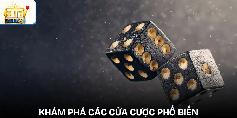 xoc dia cac cua cuoc pho bien trong xoc dia xoc dia cac cua cuoc pho bien trong xoc dia